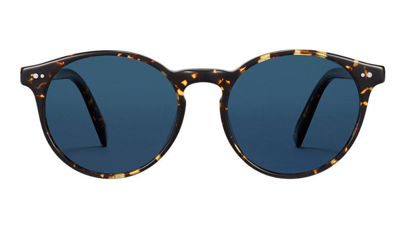Warby Parker Renton Sunglasses in Black Oak Tortoise $95