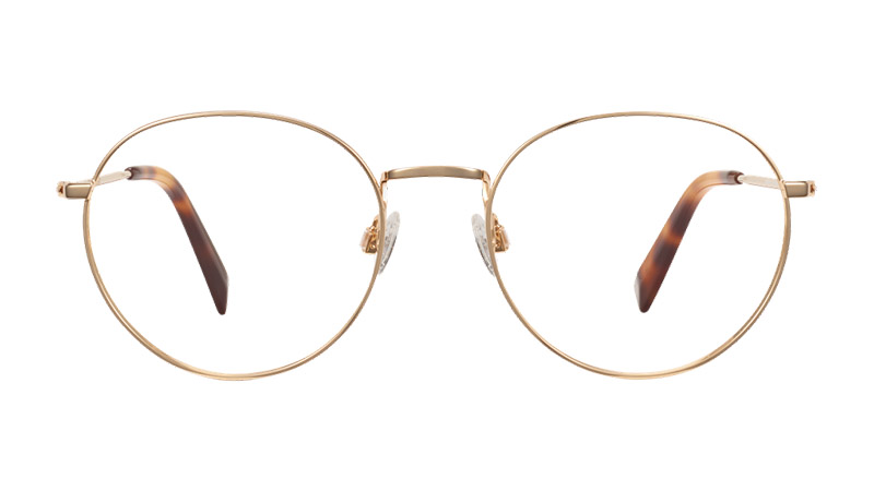 Warby Parker Simon Glasses in Polished Gold $145