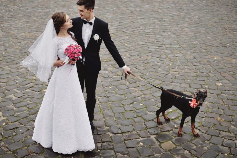 Wedding with Dog