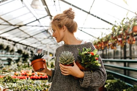 Home Decor Gifts for Friends with Summer Birthdays Woman Sweater Carrying Succulent Plants