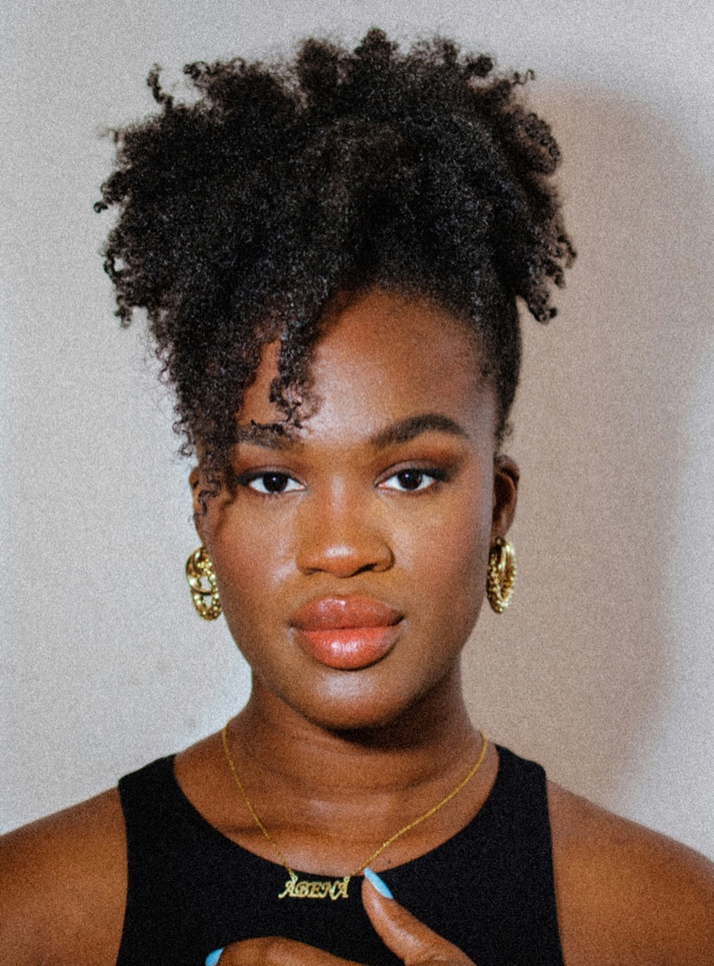 Pineapple Updo Short Natural Hair