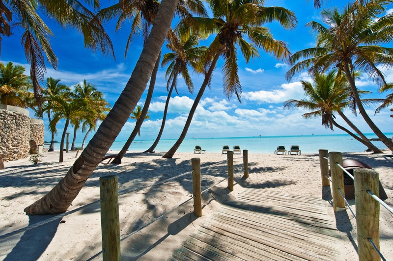 Florida Key West Beach Trees Path
