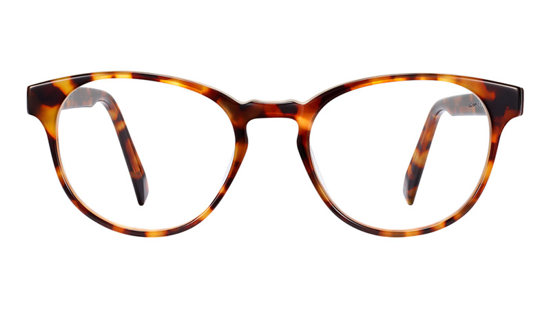 Warby Parker Whalen Glasses in Acorn Tortoise $95