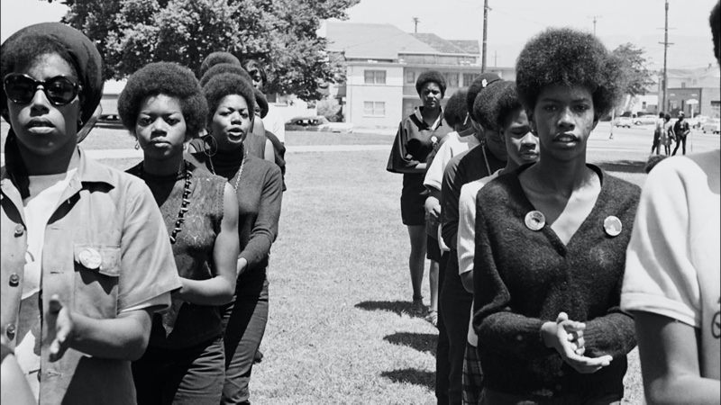 Black Panthers Fashion Women