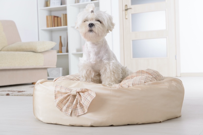 White Puppy Dog Bed