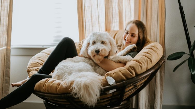 Woman Sitting Chair White Dog