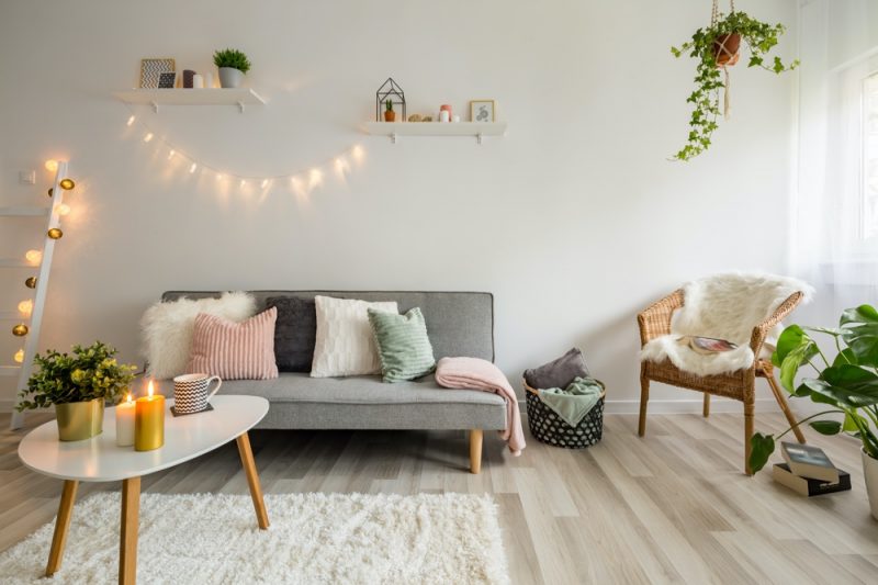Home with Plants