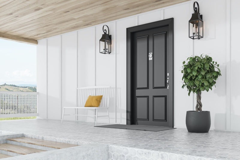 Modern Home Front Black Door Plant