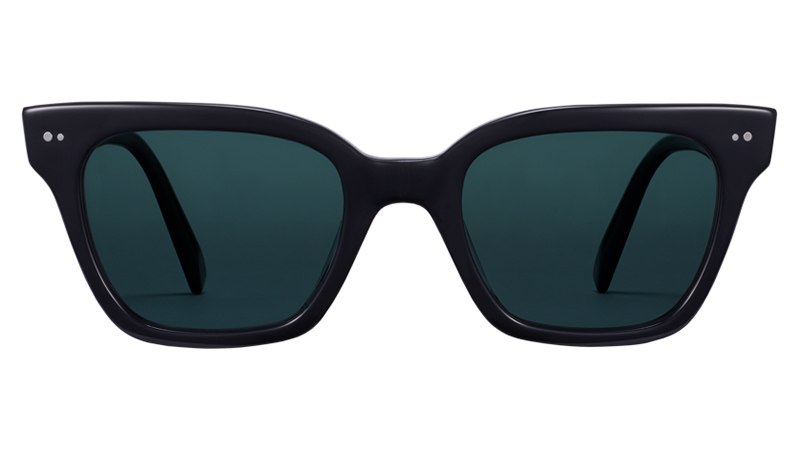 Warby Parker Beale Sunglasses in Jet Black $95