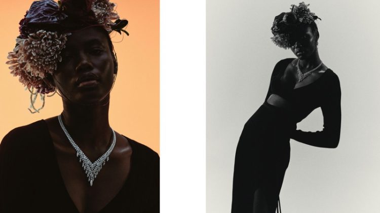 Janet Jumbo Models Cartier Gems for V Magazine