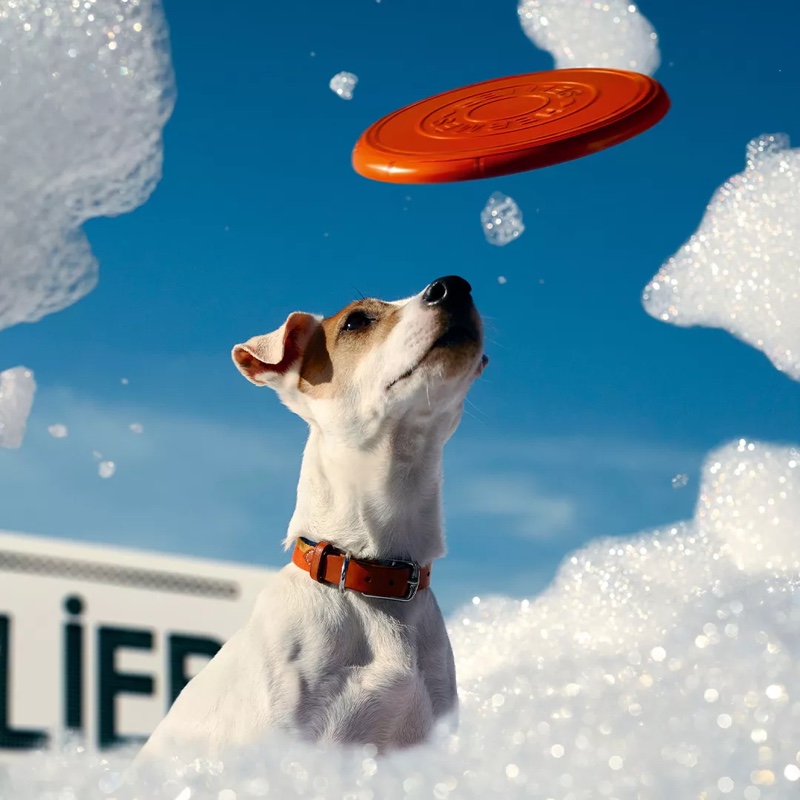 Dog Frisbee Hermès