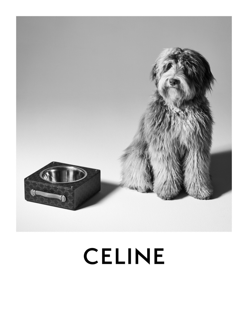 Celine Dog Bowl