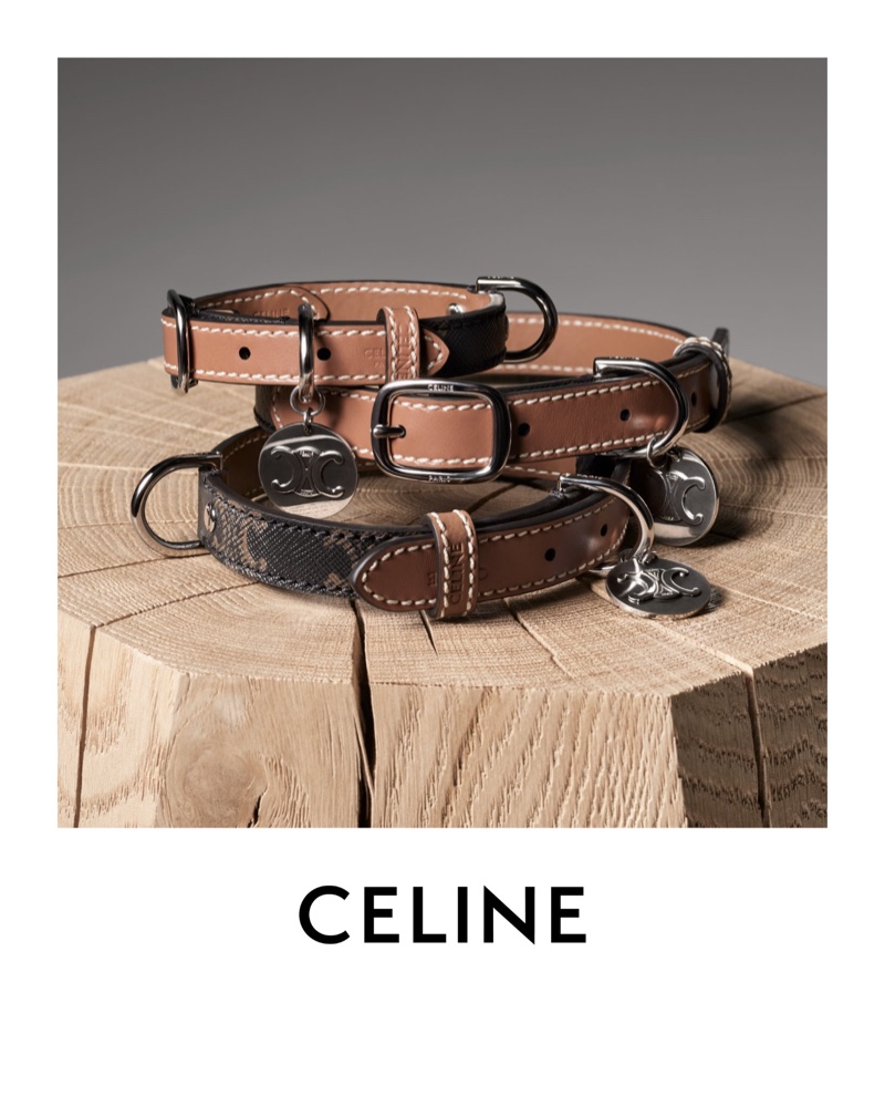 Celine Dog Collars