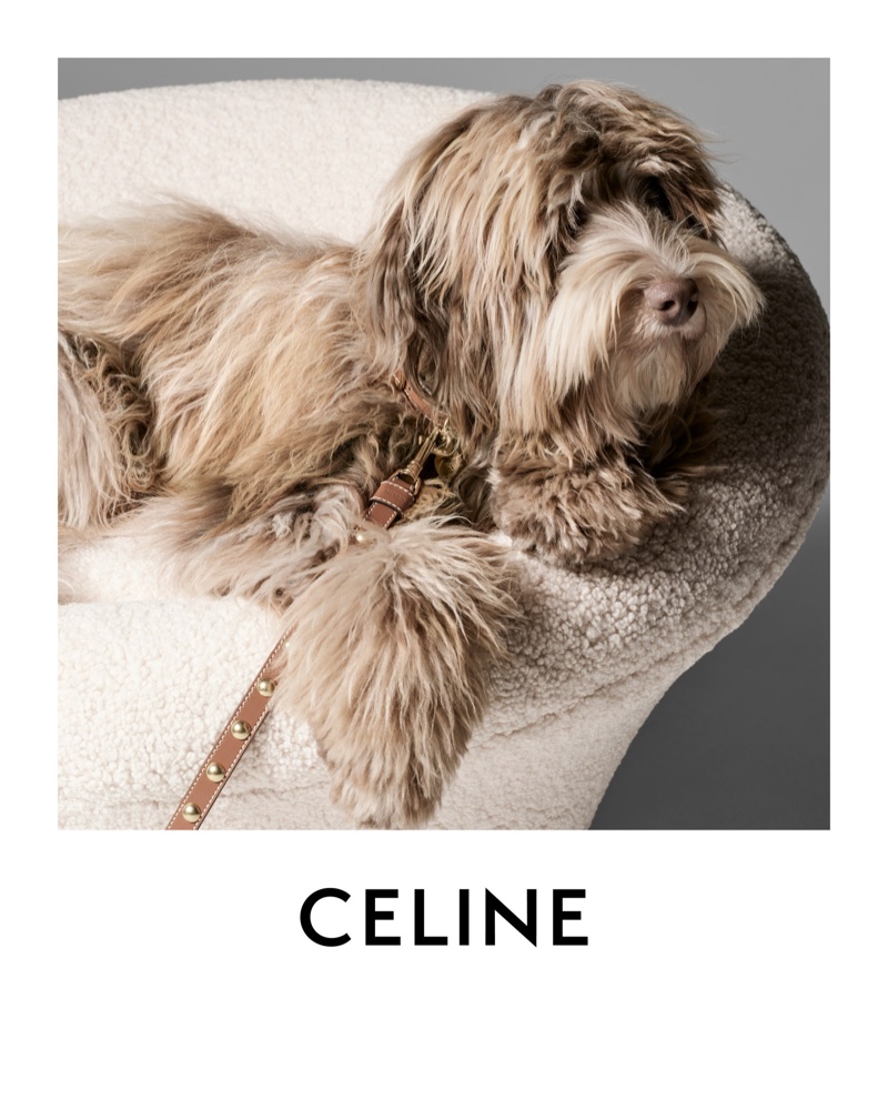 Celine Studded Dog Leash