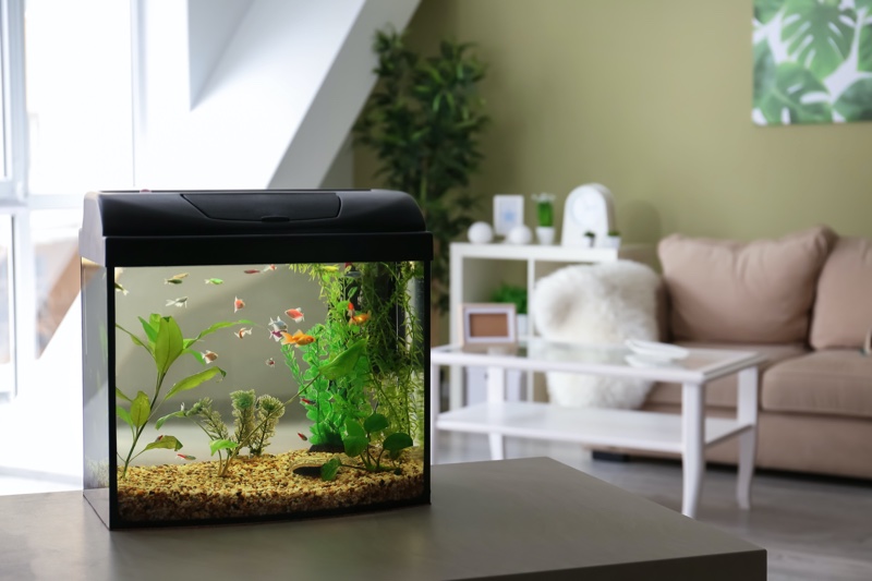 Aquarium Home Decor