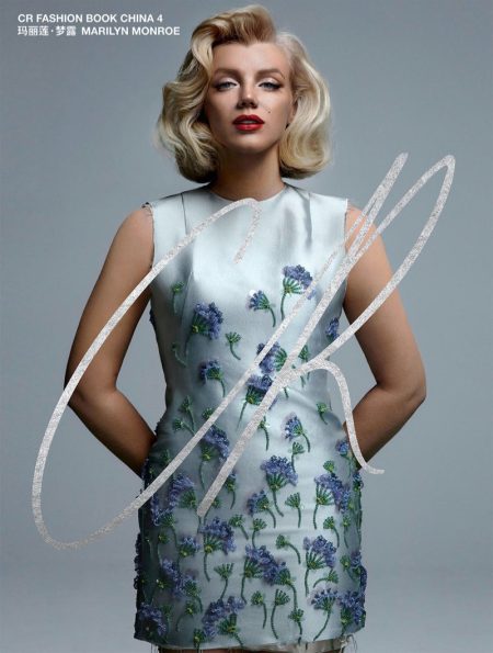 Marilyn Monroe Miu Miu Dress Cover