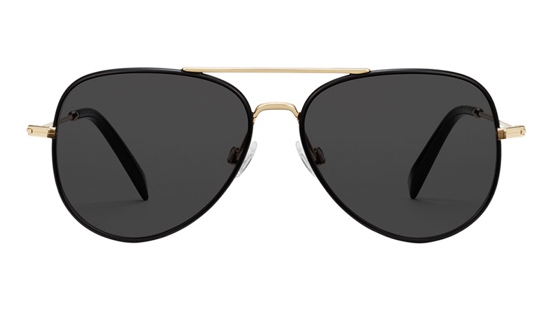 Warby Parker Raider Sunglasses in Brushed Ink with Polished Gold $145