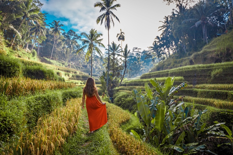 Red Dress Woman Walking Fields Bali Indonesia