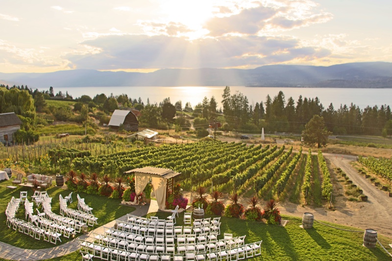 Winery Wedding Venue Setup