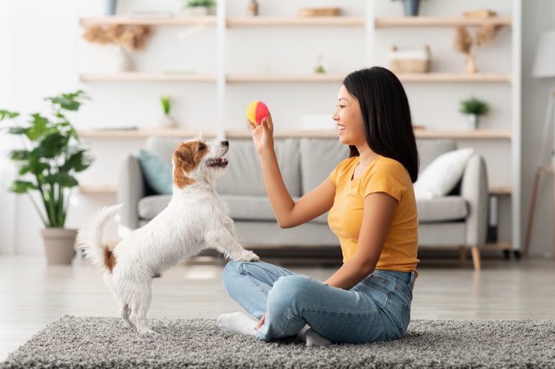 Woman Playing Toy Dog Happy