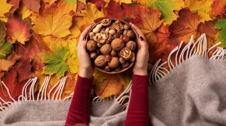 hands woman fall bowl mixed nuts