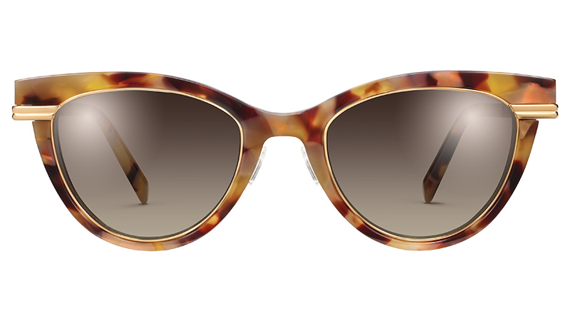 Warby Parker Aurelia Sunglasses in Adobe Tortoise with Polished Gold $175