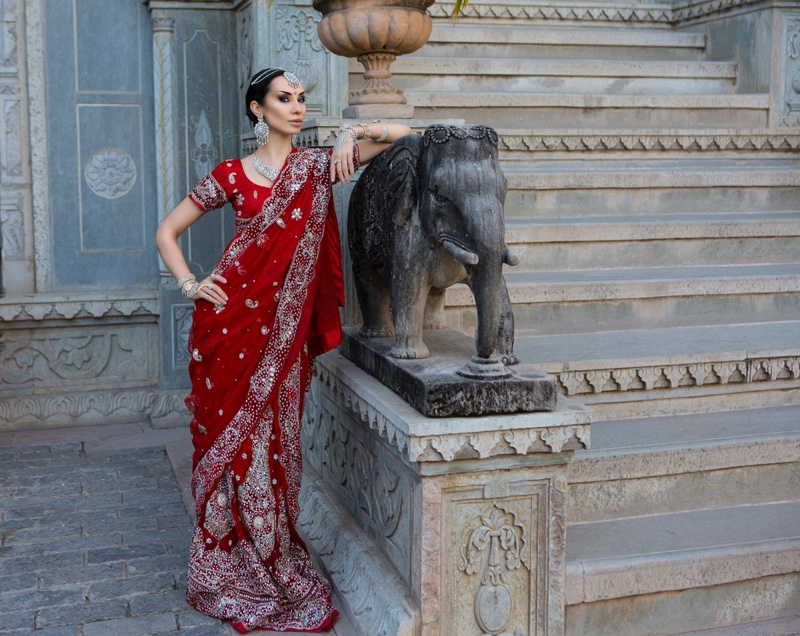 Indian Sarees