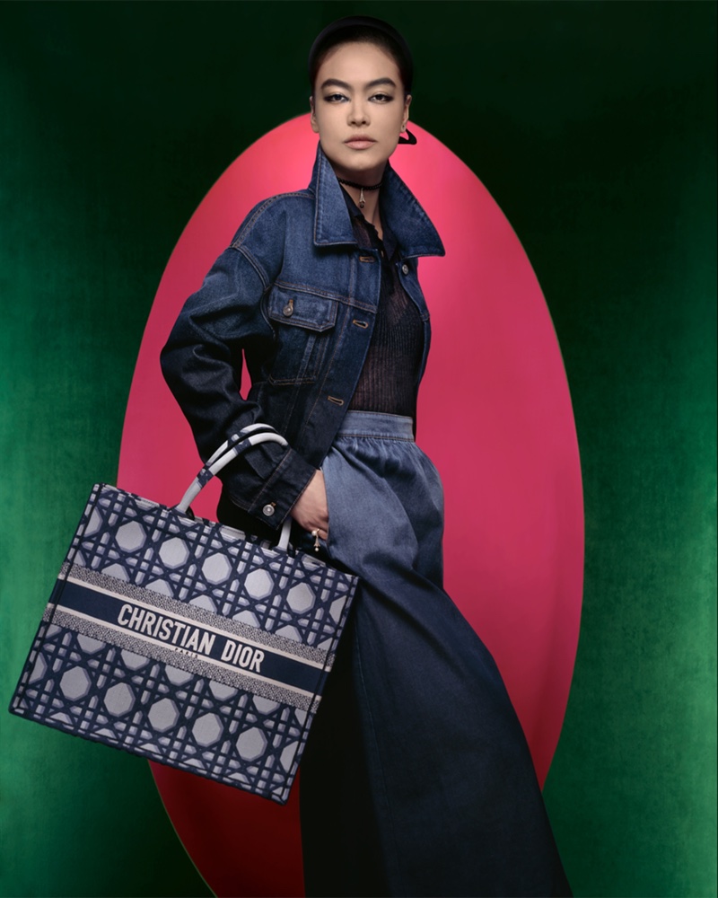 Dior Bag Winter 2023