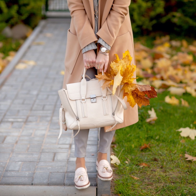 Fall Accessories Look