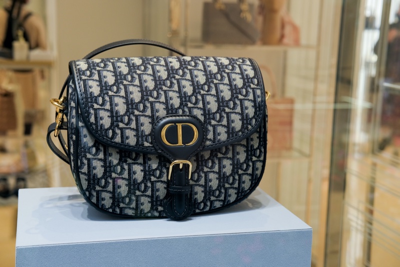 Saddle Types Bags Dior