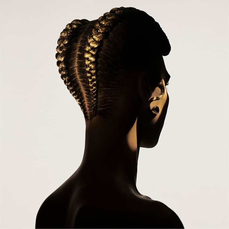 Model with a braided hairstyle featuring Zara's Glitter in Gold hair kit.