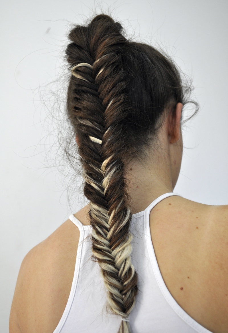 Fishtail Braid Hairstyle