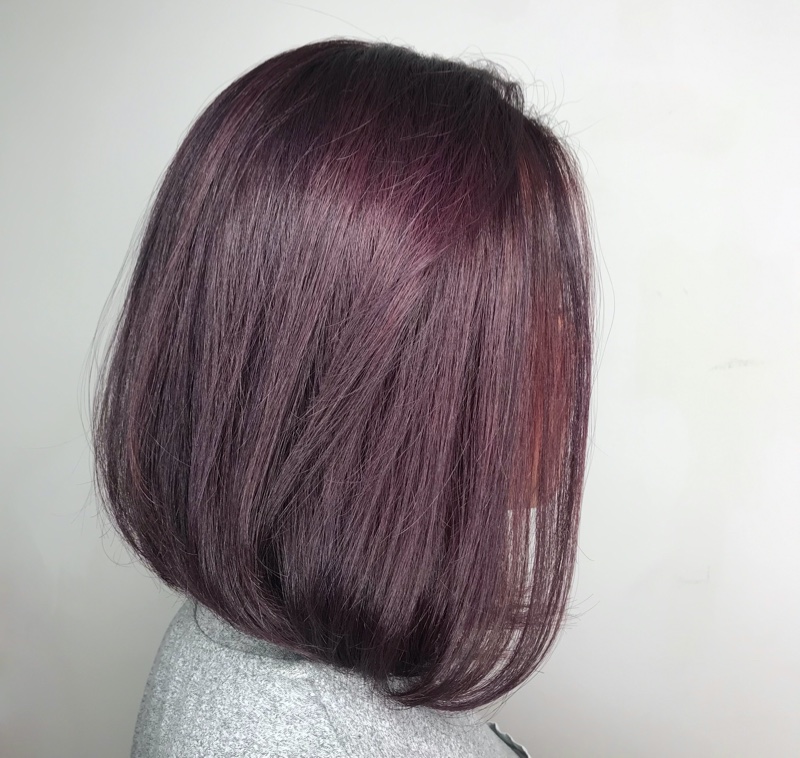 Purple Lob