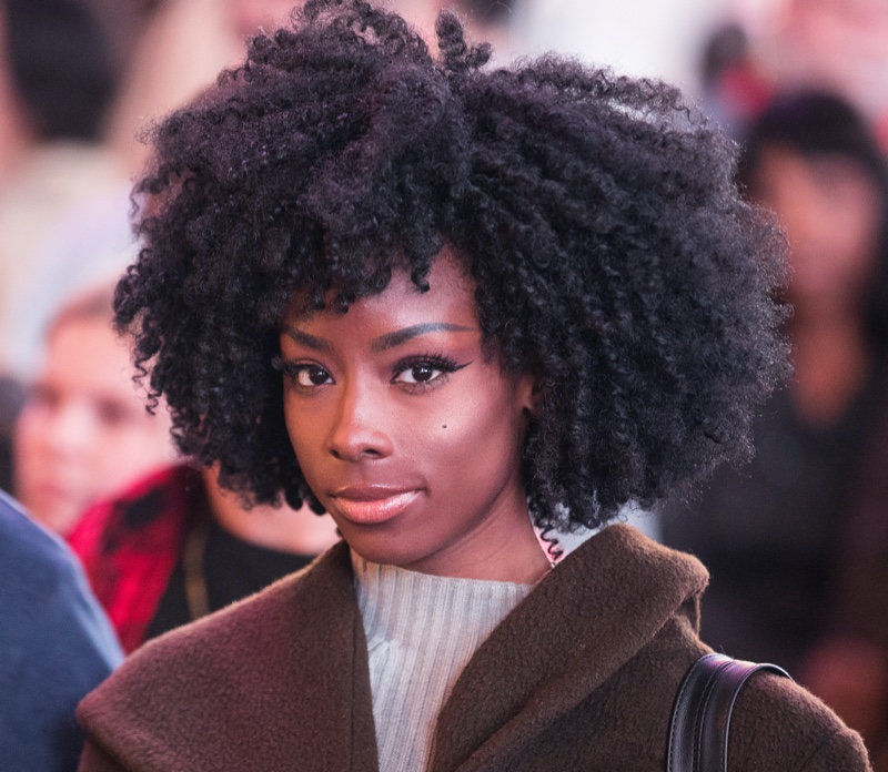 Twist Out Natural Hairstyle